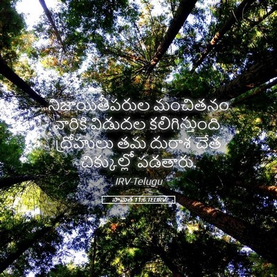 Picture 05 - సామెత 11:6 TELIRV - నిజాయితీపరుల - Bible Verse Picture