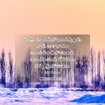Picture 05 - సామెత 11:7 TELIRV - దుష్టుడు - Bible Verse Picture