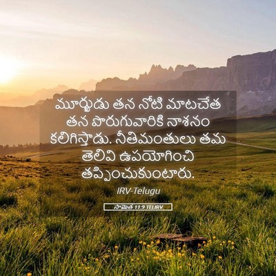 Picture 05 - సామెత 11:9 TELIRV - మూర్ఖుడు తన నోటి - Bible Verse Picture