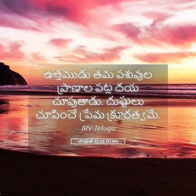 Picture 05 - సామెత 12:10 TELIRV - ఉత్తముడు తమ - Bible Verse Picture