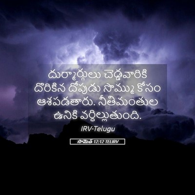 Picture 05 - సామెత 12:12 TELIRV - దుర్మార్గులు - Bible Verse Picture