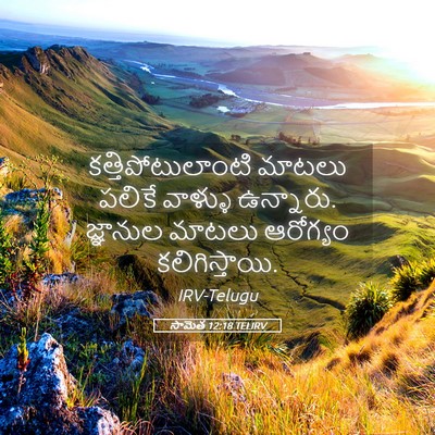 Picture 05 - సామెత 12:18 TELIRV - కత్తిపోటులాంటి - Bible Verse Picture