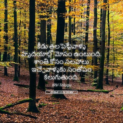 Picture 05 - సామెత 12:20 TELIRV - కీడు - Bible Verse Picture