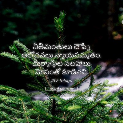 Picture 05 - సామెత 12:5 TELIRV - నీతిమంతులు చెప్పే - Bible Verse Picture