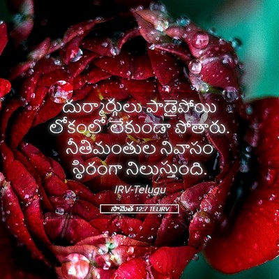 Picture 05 - సామెత 12:7 TELIRV - దుర్మార్గులు - Bible Verse Picture