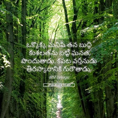 Picture 05 - సామెత 12:8 TELIRV - ఒక్కొక్క మనిషి తన - Bible Verse Picture