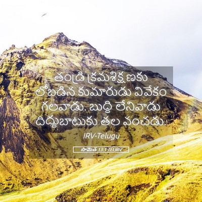 Picture 05 - సామెత 13:1 TELIRV - తండ్రి - Bible Verse Picture
