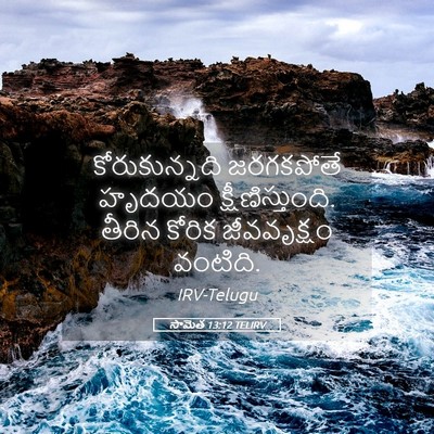 Picture 05 - సామెత 13:12 TELIRV - కోరుకున్నది - Bible Verse Picture