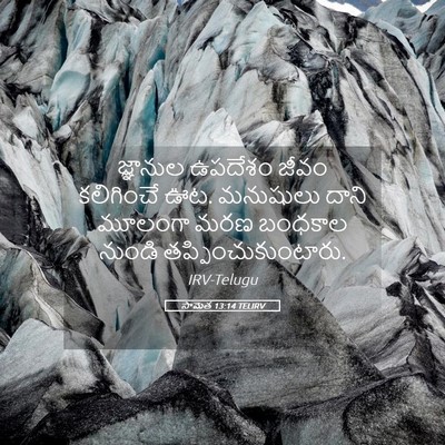 Picture 05 - సామెత 13:14 TELIRV - జ్ఞానుల ఉపదేశం - Bible Verse Picture