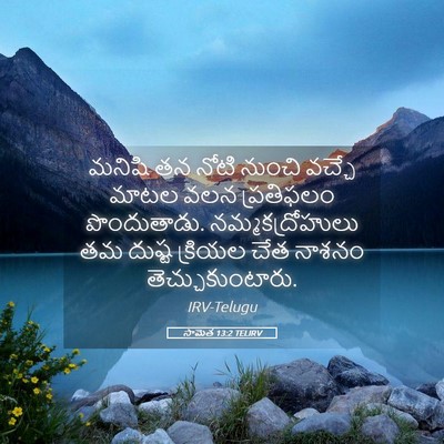 Picture 05 - సామెత 13:2 TELIRV - మనిషి తన నోటి - Bible Verse Picture