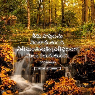 Picture 05 - సామెత 13:21 TELIRV - కీడు పాపులను - Bible Verse Picture