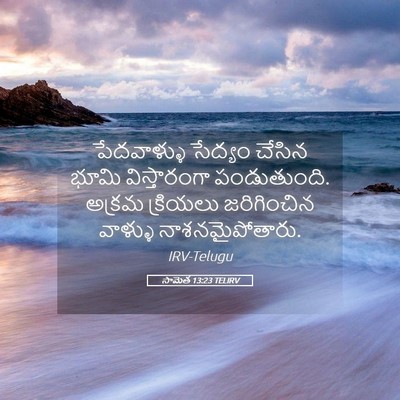 Picture 05 - సామెత 13:23 TELIRV - పేదవాళ్ళు సేద్యం - Bible Verse Picture