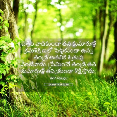 Picture 05 - సామెత 13:24 TELIRV - బెత్తం వాడకుండా - Bible Verse Picture