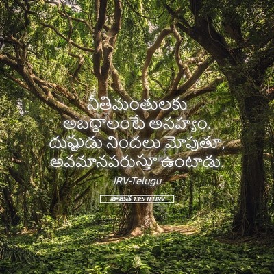 Picture 05 - సామెత 13:5 TELIRV - నీతిమంతులకు - Bible Verse Picture