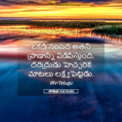 Picture 05 - సామెత 13:8 TELIRV - ఒకడి సంపద అతని - Bible Verse Picture