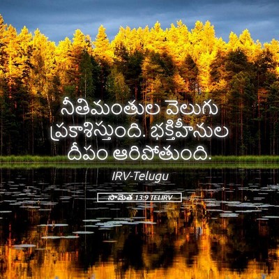 Picture 05 - సామెత 13:9 TELIRV - నీతిమంతుల వెలుగు - Bible Verse Picture