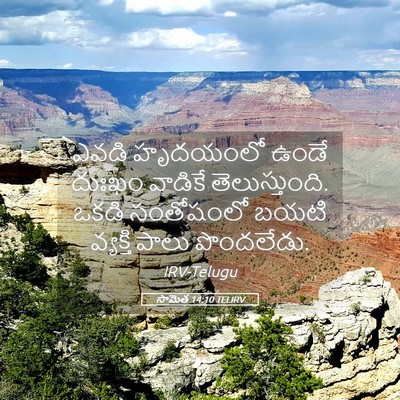 Picture 05 - సామెత 14:10 TELIRV - ఎవడి హృదయంలో ఉండే - Bible Verse Picture