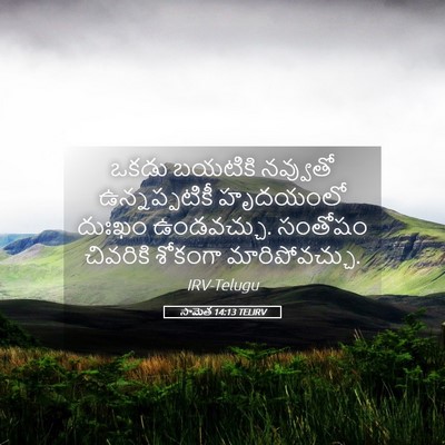 Picture 05 - సామెత 14:13 TELIRV - ఒకడు బయటికి - Bible Verse Picture