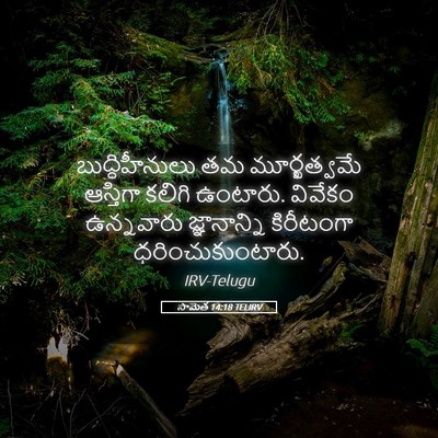 Picture 05 - సామెత 14:18 TELIRV - బుద్ధిహీనులు తమ - Bible Verse Picture