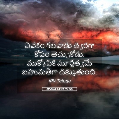 Picture 05 - సామెత 14:29 TELIRV - వివేకం గలవాడు - Bible Verse Picture