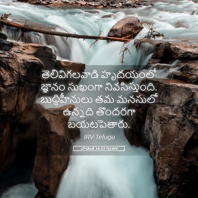 Picture 05 - సామెత 14:33 TELIRV - తెలివిగలవాడి - Bible Verse Picture