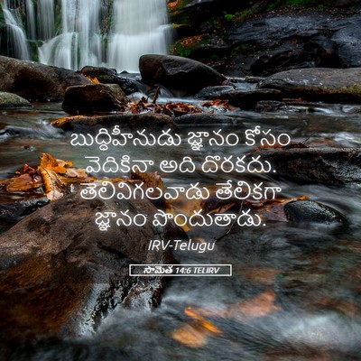 Picture 05 - సామెత 14:6 TELIRV - బుద్ధిహీనుడు - Bible Verse Picture
