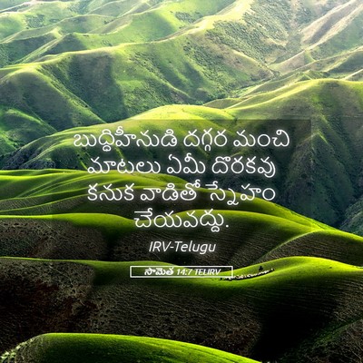 Picture 05 - సామెత 14:7 TELIRV - బుద్ధిహీనుడి - Bible Verse Picture