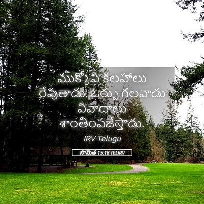 Picture 05 - సామెత 15:18 TELIRV - ముక్కోపి కలహాలు - Bible Verse Picture