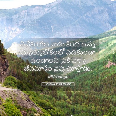 Picture 05 - సామెత 15:24 TELIRV - వివేకం గల వాడు - Bible Verse Picture
