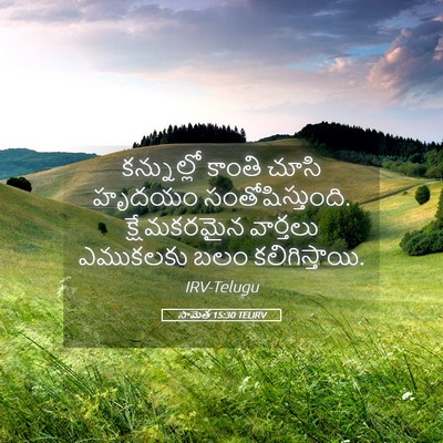 Picture 05 - సామెత 15:30 TELIRV - కన్నుల్లో కాంతి - Bible Verse Picture