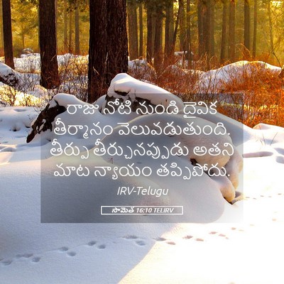 Picture 05 - సామెత 16:10 TELIRV - రాజు నోటి నుండి - Bible Verse Picture
