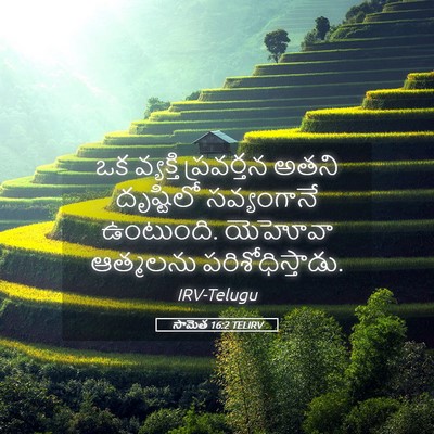 Picture 05 - సామెత 16:2 TELIRV - ఒక వ్యక్తి - Bible Verse Picture