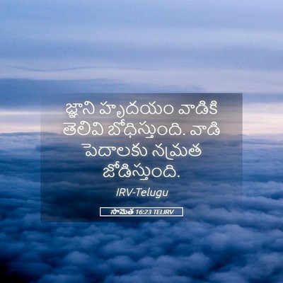 Picture 05 - సామెత 16:23 TELIRV - జ్ఞాని హృదయం - Bible Verse Picture