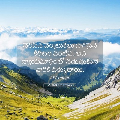 Picture 05 - సామెత 16:31 TELIRV - నెరసిన వెంట్రుకలు - Bible Verse Picture