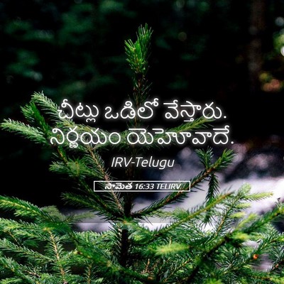 Picture 05 - సామెత 16:33 TELIRV - చీట్లు ఒడిలో - Bible Verse Picture