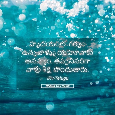 Picture 05 - సామెత 16:5 TELIRV - హృదయంలో గర్వం - Bible Verse Picture