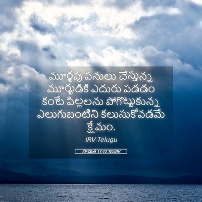 Picture 05 - సామెత 17:12 TELIRV - మూర్ఖపు పనులు - Bible Verse Picture