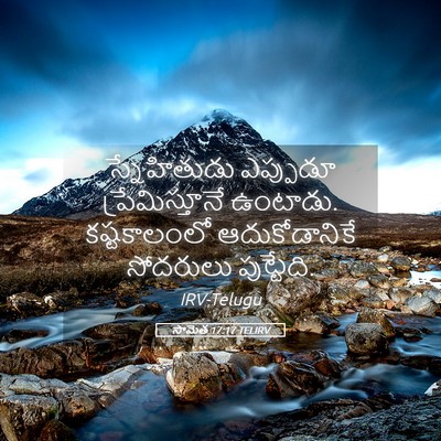 Picture 05 - సామెత 17:17 TELIRV - స్నేహితుడు - Bible Verse Picture