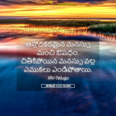 Picture 05 - సామెత 17:22 TELIRV - ఆహ్లాదకరమైన - Bible Verse Picture