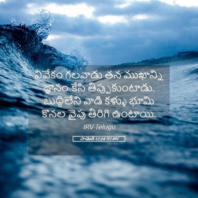 Picture 05 - సామెత 17:24 TELIRV - వివేకం గలవాడు తన - Bible Verse Picture