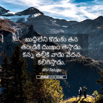 Picture 05 - సామెత 17:25 TELIRV - బుద్ధిలేని కొడుకు - Bible Verse Picture