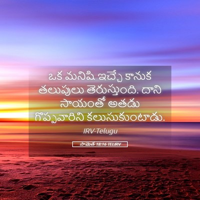 Picture 05 - సామెత 18:16 TELIRV - ఒక మనిషి ఇచ్చే - Bible Verse Picture