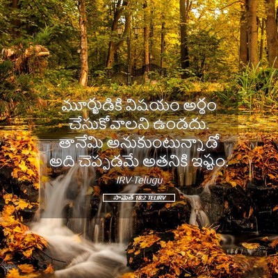 Picture 05 - సామెత 18:2 TELIRV - మూర్ఖుడికి విషయం - Bible Verse Picture