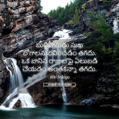 Picture 05 - సామెత 19:10 TELIRV - బుద్ధిహీనుడు సుఖ - Bible Verse Picture