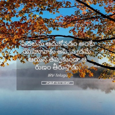 Picture 05 - సామెత 19:17 TELIRV - పేదలను ఆదుకోవడం - Bible Verse Picture