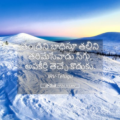 Picture 05 - సామెత 19:26 TELIRV - తండ్రిని బాధిస్తూ - Bible Verse Picture