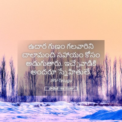 Picture 05 - సామెత 19:6 TELIRV - ఉదార గుణం - Bible Verse Picture