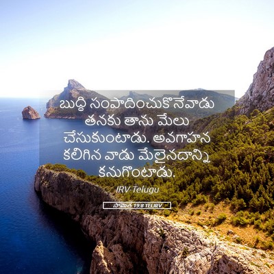 Picture 05 - సామెత 19:8 TELIRV - బుద్ధి - Bible Verse Picture