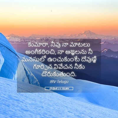 Picture 05 - సామెత 2:1 TELIRV - కుమారా, నీవు నా - Bible Verse Picture