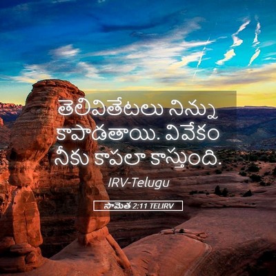 Picture 05 - సామెత 2:11 TELIRV - తెలివితేటలు - Bible Verse Picture